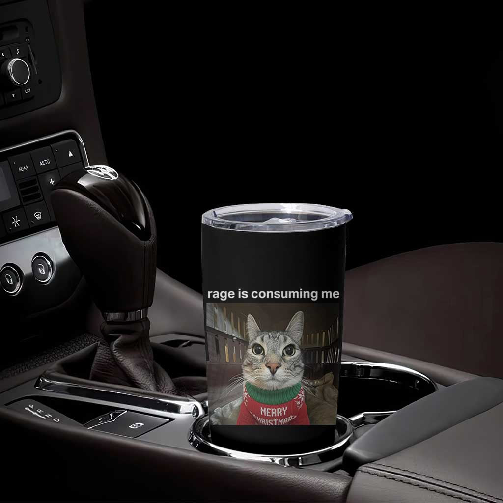 Rage Is Consuming Me Christmas Tumbler Cup Funny Silly Staring Cat Meme Xmas Ugly Sweater - Wonder Print Shop
