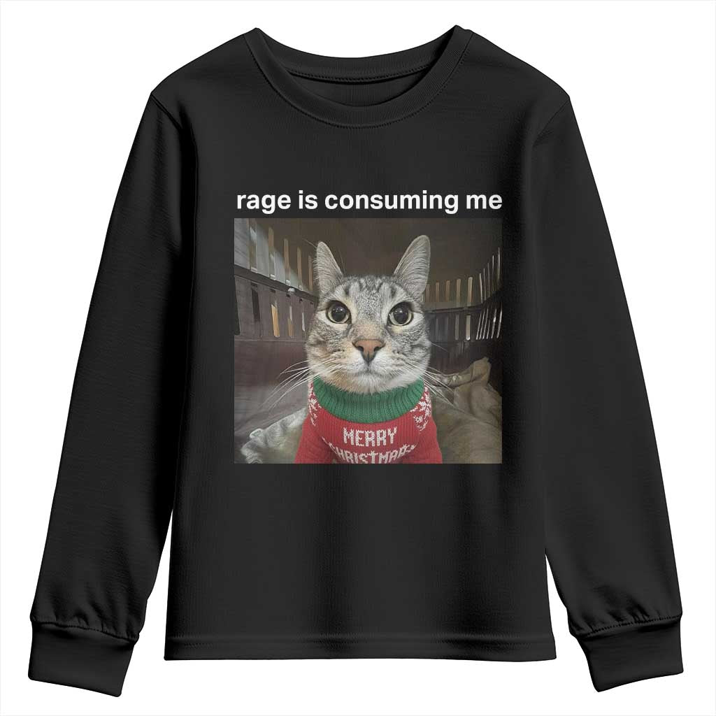 Rage Is Consuming Me Christmas Youth Sweatshirt Funny Silly Staring Cat Meme Xmas Ugly Sweater - Wonder Print Shop
