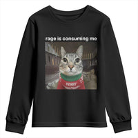 Rage Is Consuming Me Christmas Youth Sweatshirt Funny Silly Staring Cat Meme Xmas Ugly Sweater - Wonder Print Shop