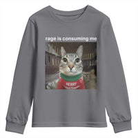 Rage Is Consuming Me Christmas Youth Sweatshirt Funny Silly Staring Cat Meme Xmas Ugly Sweater - Wonder Print Shop