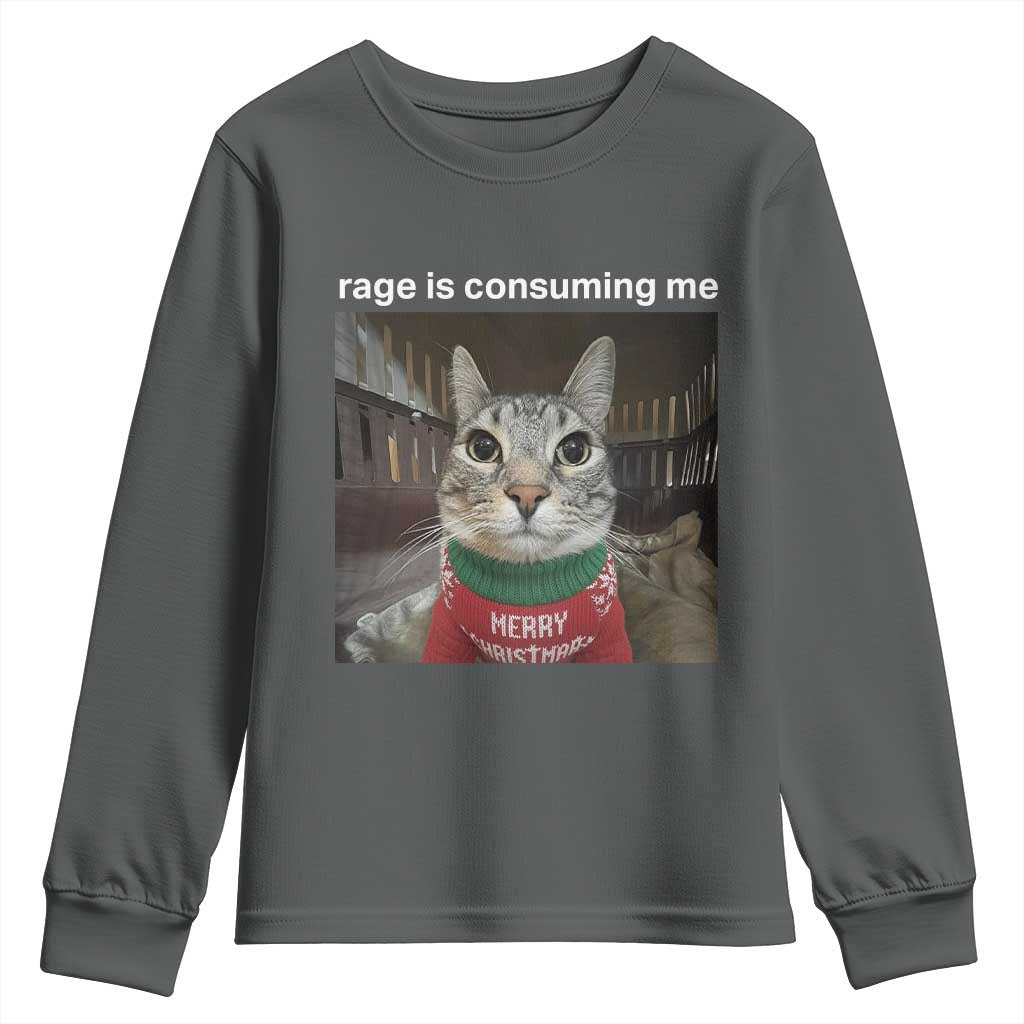 Rage Is Consuming Me Christmas Youth Sweatshirt Funny Silly Staring Cat Meme Xmas Ugly Sweater - Wonder Print Shop