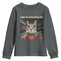 Rage Is Consuming Me Christmas Youth Sweatshirt Funny Silly Staring Cat Meme Xmas Ugly Sweater - Wonder Print Shop