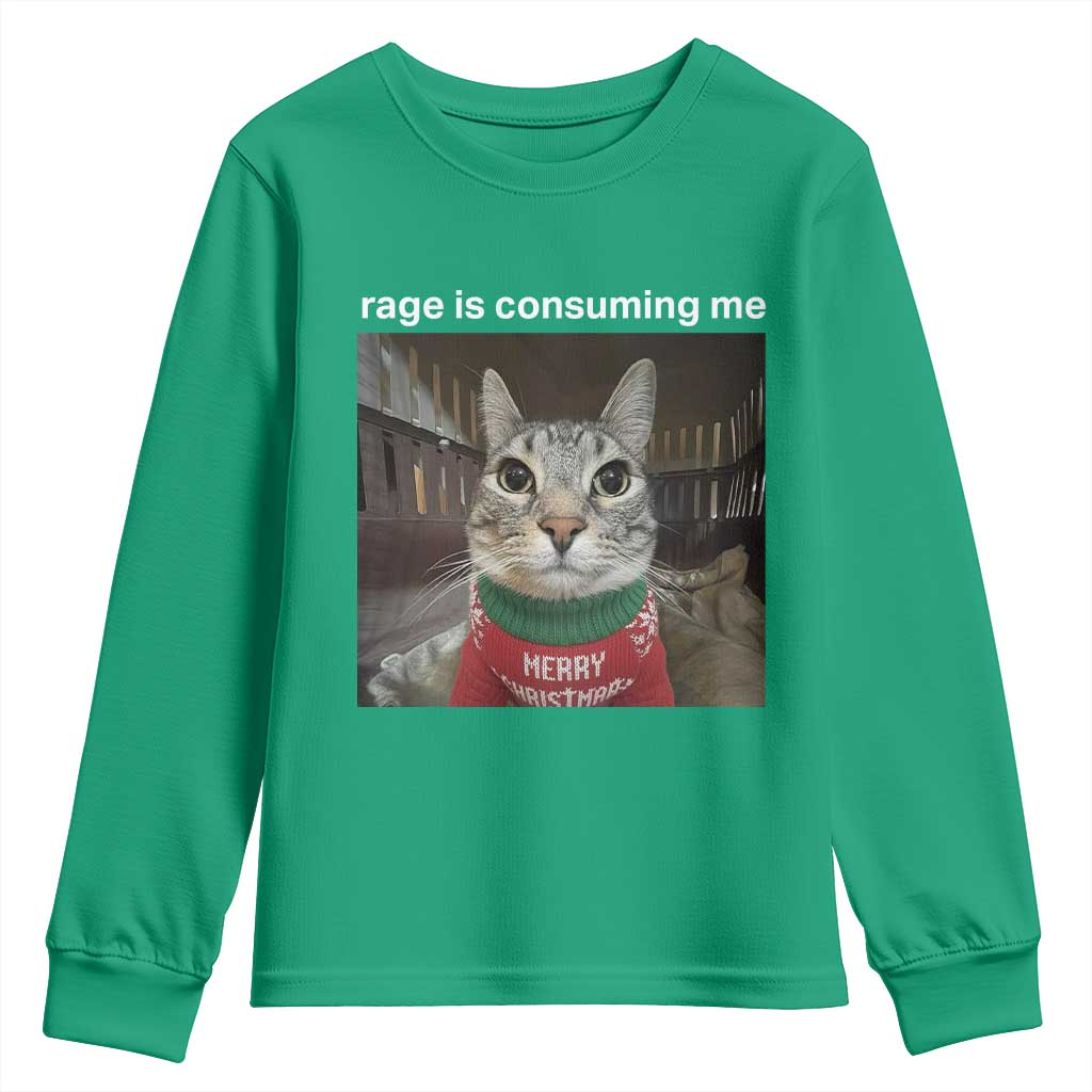 Rage Is Consuming Me Christmas Youth Sweatshirt Funny Silly Staring Cat Meme Xmas Ugly Sweater - Wonder Print Shop