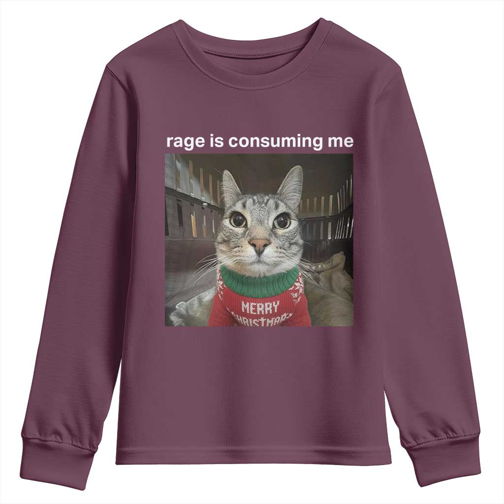 Rage Is Consuming Me Christmas Youth Sweatshirt Funny Silly Staring Cat Meme Xmas Ugly Sweater - Wonder Print Shop