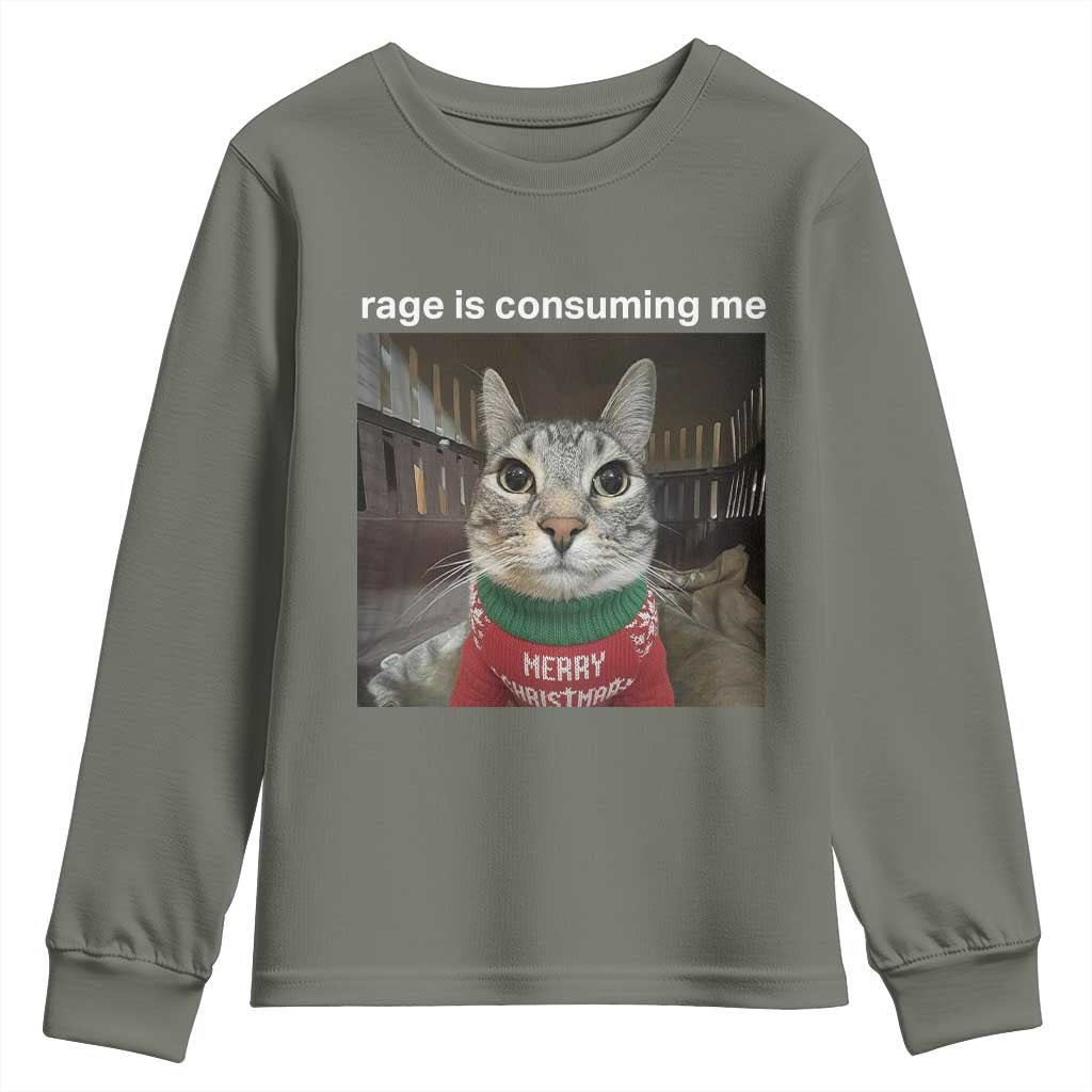 Rage Is Consuming Me Christmas Youth Sweatshirt Funny Silly Staring Cat Meme Xmas Ugly Sweater - Wonder Print Shop