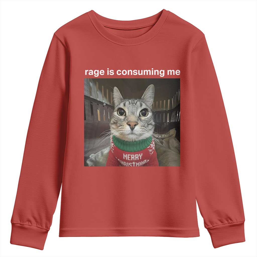Rage Is Consuming Me Christmas Youth Sweatshirt Funny Silly Staring Cat Meme Xmas Ugly Sweater - Wonder Print Shop