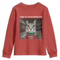 Rage Is Consuming Me Christmas Youth Sweatshirt Funny Silly Staring Cat Meme Xmas Ugly Sweater - Wonder Print Shop