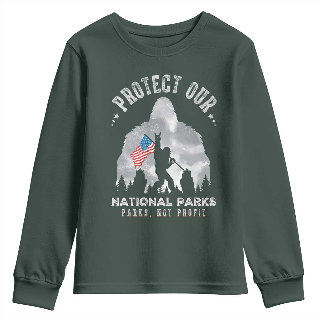 Funny Protect Our National Parks Bigfoot Youth Sweatshirt Parks Not Profit American Flag