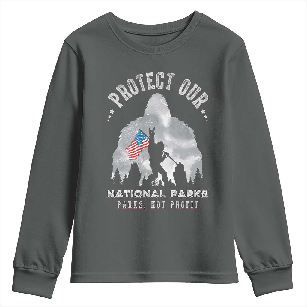 Funny Protect Our National Parks Bigfoot Youth Sweatshirt Parks Not Profit American Flag