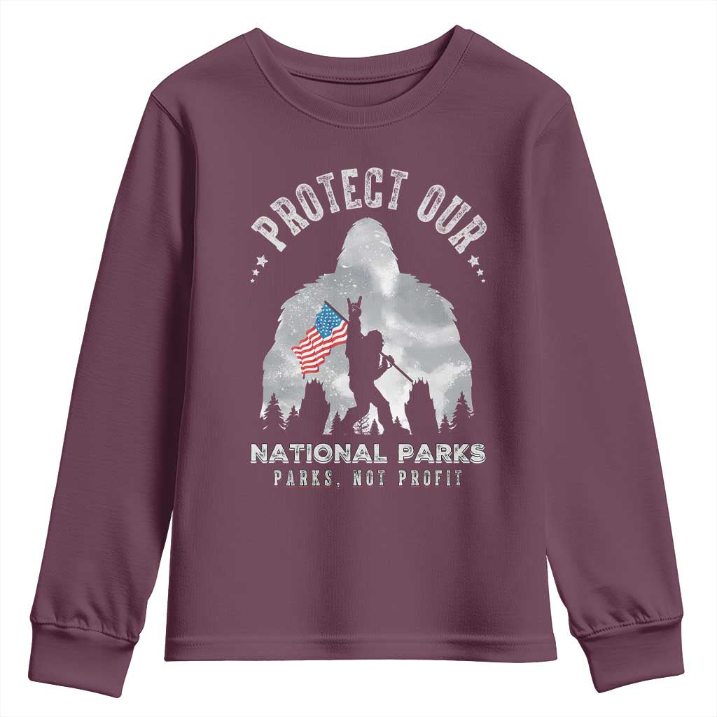 Funny Protect Our National Parks Bigfoot Youth Sweatshirt Parks Not Profit American Flag