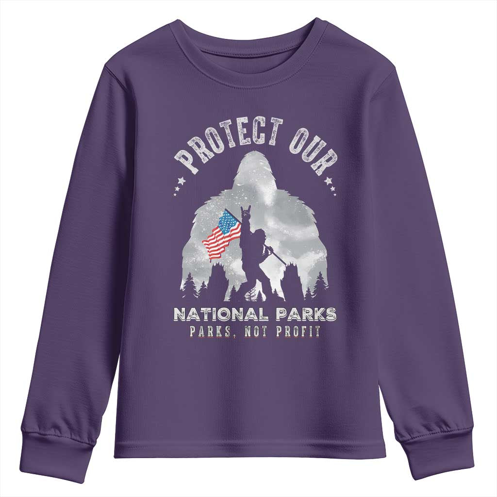 Funny Protect Our National Parks Bigfoot Youth Sweatshirt Parks Not Profit American Flag