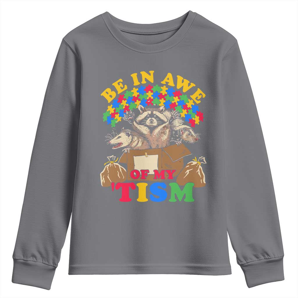 Funny Autism Awareness Youth Sweatshirt Be In Awe Of My 'Tism Autistic Raccoon Opossum Skunk