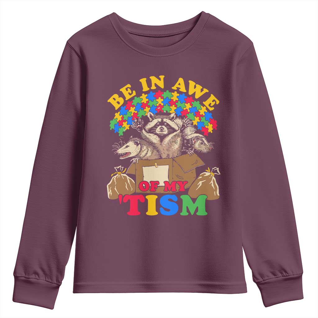 Funny Autism Awareness Youth Sweatshirt Be In Awe Of My 'Tism Autistic Raccoon Opossum Skunk