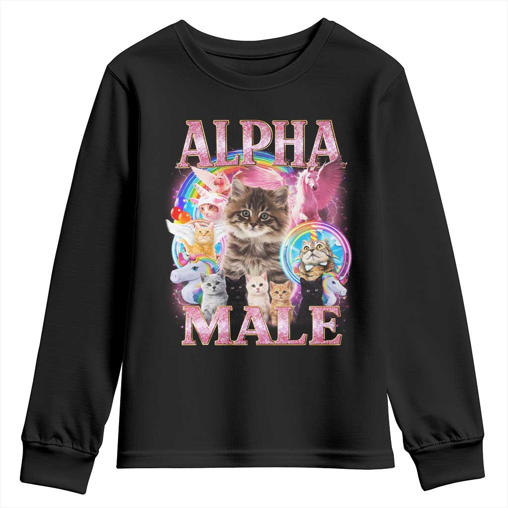 Alpha Male Cat Youth Sweatshirt Funny Rainbow Kitten Meme Bootleg