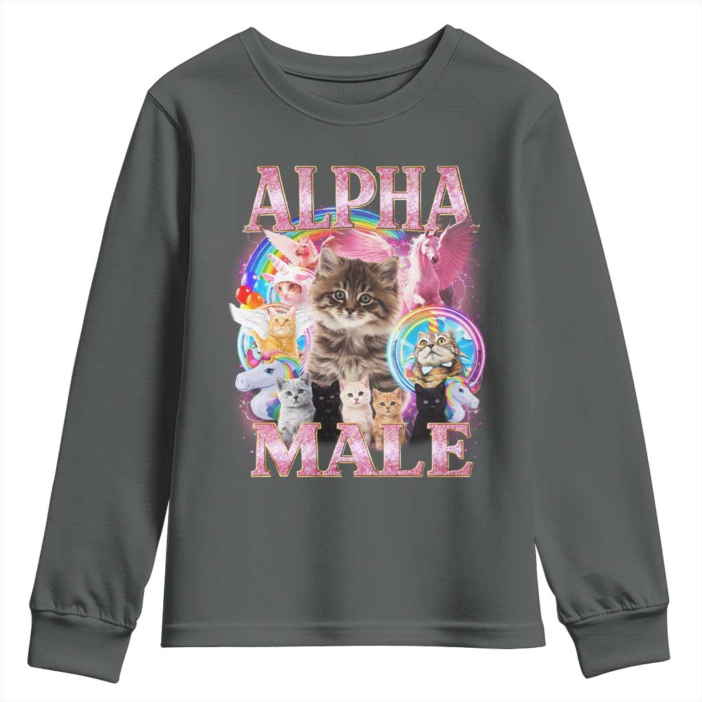 Alpha Male Cat Youth Sweatshirt Funny Rainbow Kitten Meme Bootleg