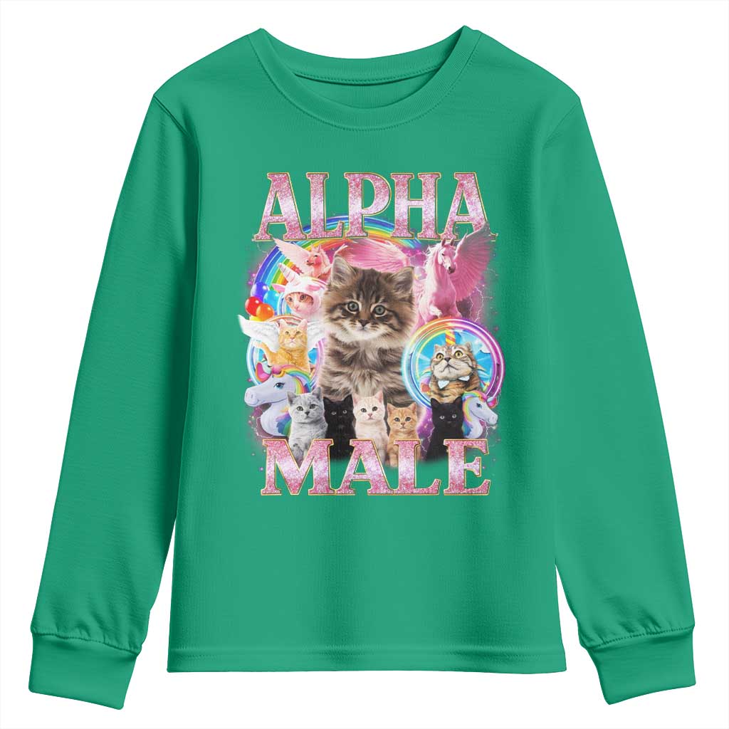 Alpha Male Cat Youth Sweatshirt Funny Rainbow Kitten Meme Bootleg