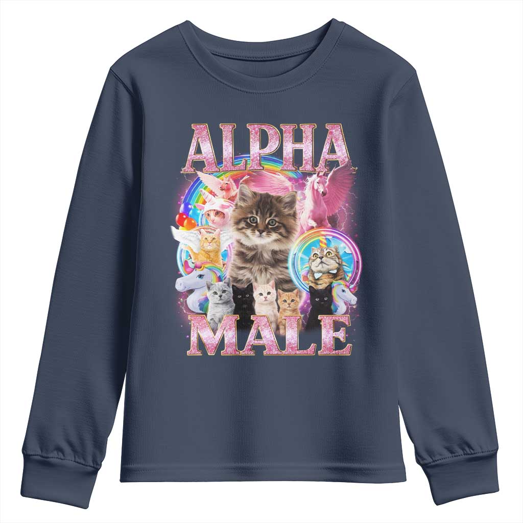 Alpha Male Cat Youth Sweatshirt Funny Rainbow Kitten Meme Bootleg