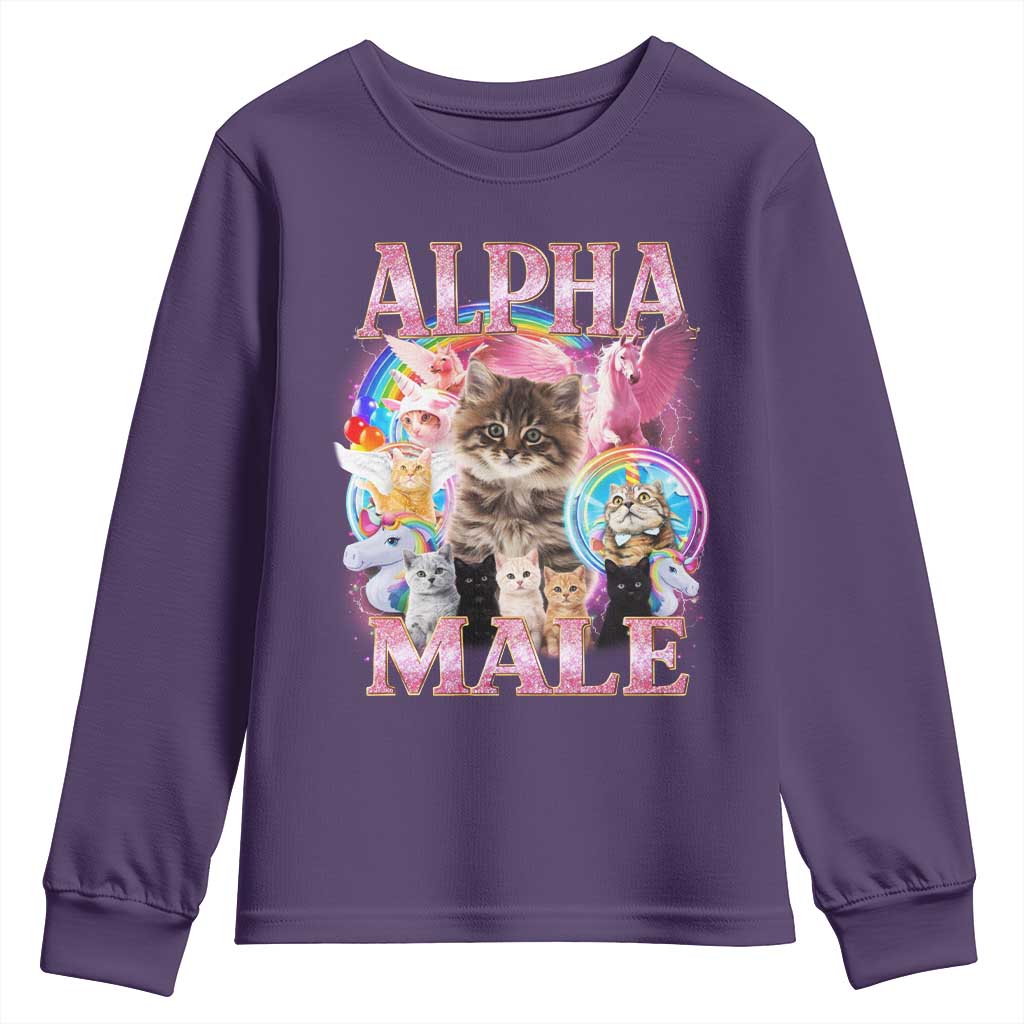 Alpha Male Cat Youth Sweatshirt Funny Rainbow Kitten Meme Bootleg