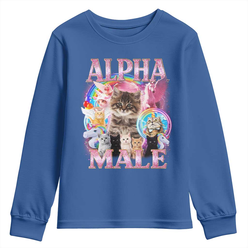 Alpha Male Cat Youth Sweatshirt Funny Rainbow Kitten Meme Bootleg
