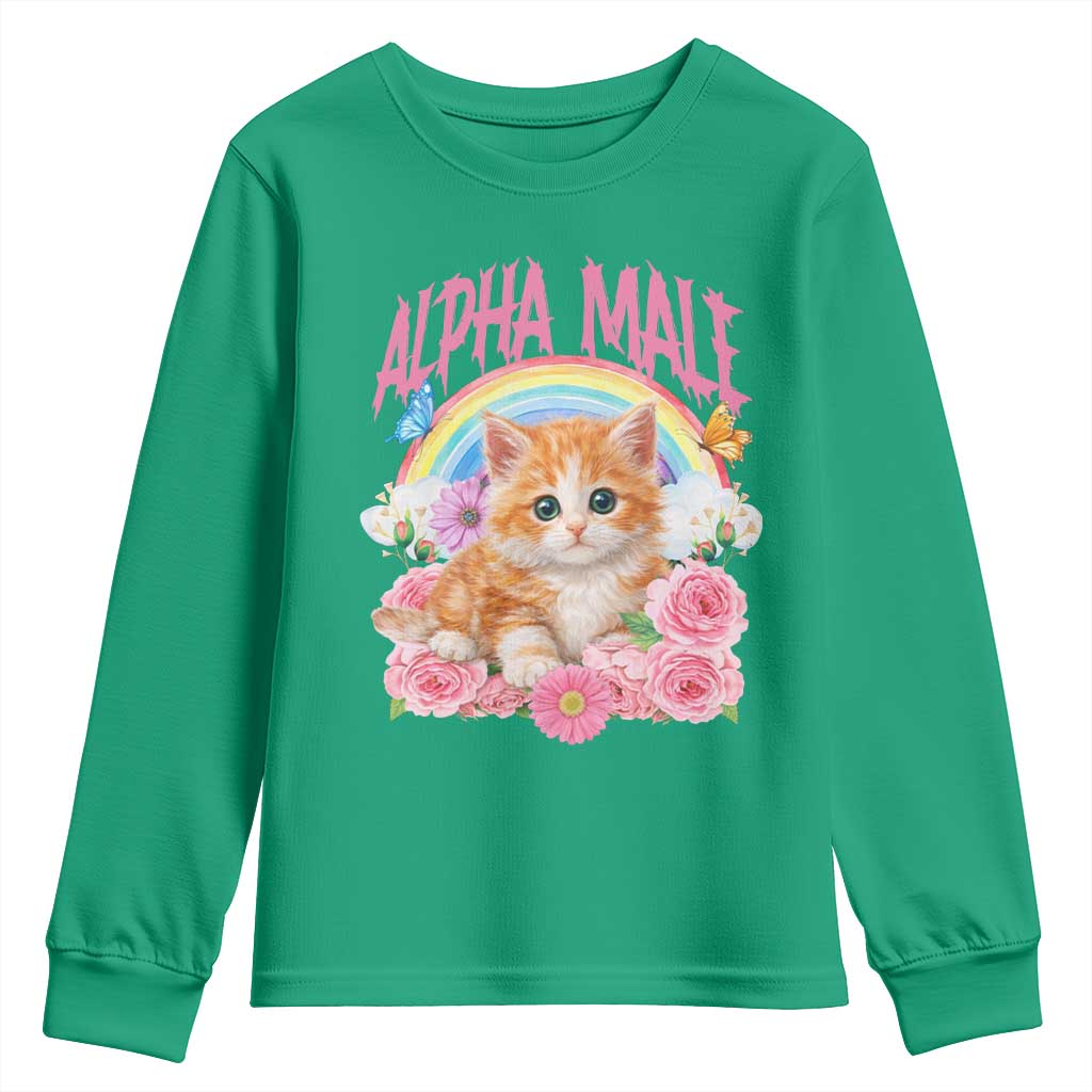 Alpha Male Funny Cat Youth Sweatshirt Vintage 90s Kitten Rainbow Floral Butterflies