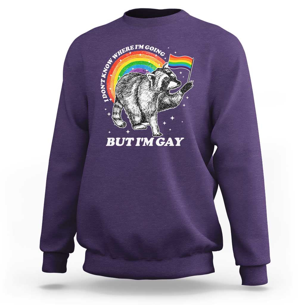 Funny Pride LGBT Racoon Sweatshirt I Don't Know Where I'm Going But I'm Gay Rainbow