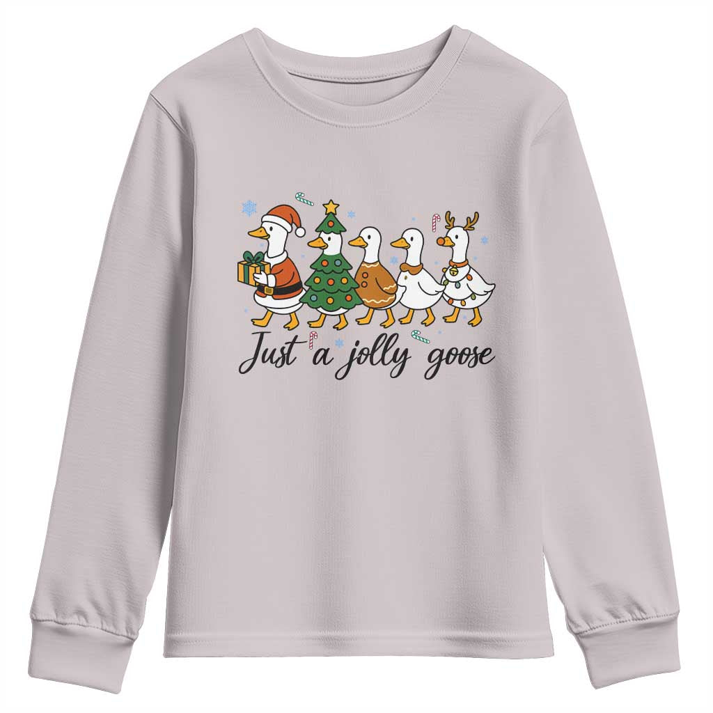 Funny Christmas Silly Goose Youth Sweatshirt Just A Jolly Goose Xmas Poultry Animal Humor - Wonder Print Shop