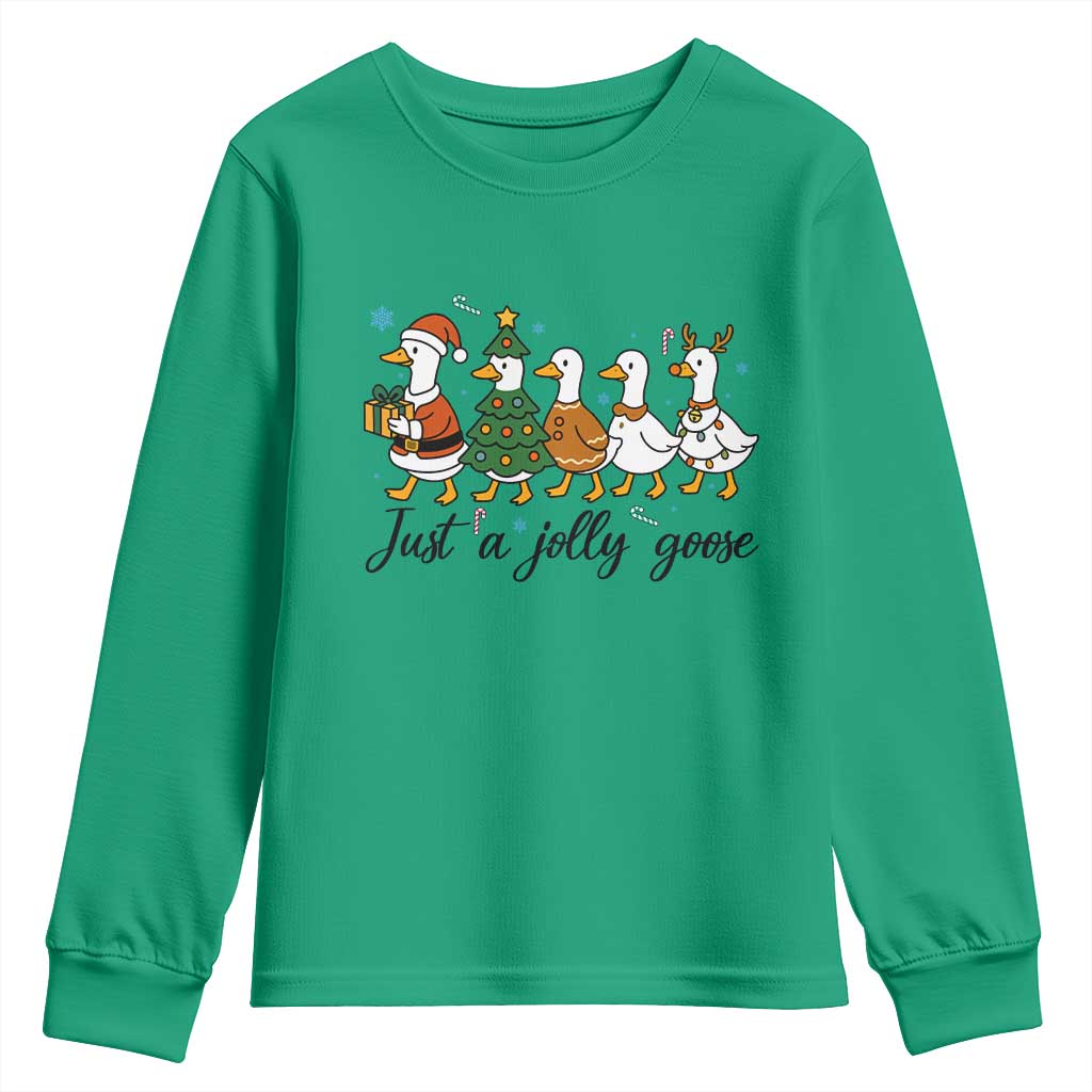 Funny Christmas Silly Goose Youth Sweatshirt Just A Jolly Goose Xmas Poultry Animal Humor - Wonder Print Shop