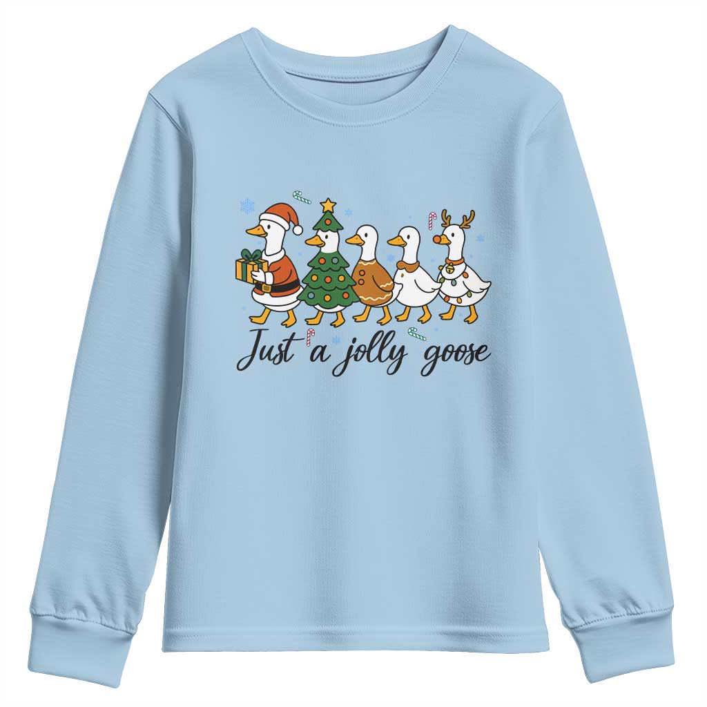 Funny Christmas Silly Goose Youth Sweatshirt Just A Jolly Goose Xmas Poultry Animal Humor - Wonder Print Shop