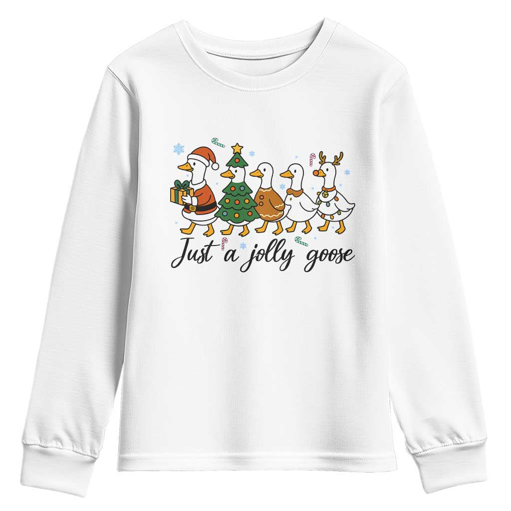 Funny Christmas Silly Goose Youth Sweatshirt Just A Jolly Goose Xmas Poultry Animal Humor - Wonder Print Shop