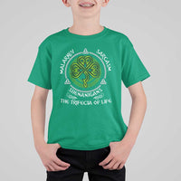 Funny St Patricks Day Irish Pride T Shirt For Kid Malarkey Sarcasm Shenanigans The Trifecta Of Life