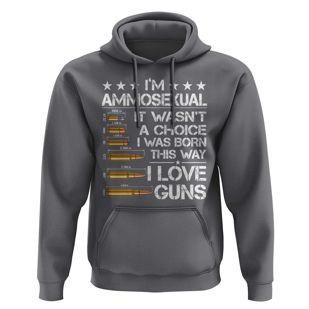 I'm Ammosexual It Wasn't A Choice 2nd Amendment Gun Lovers Hoodie