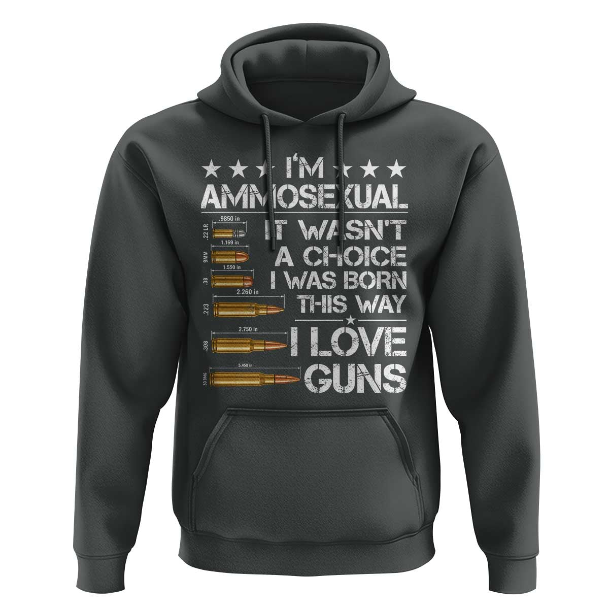 I'm Ammosexual It Wasn't A Choice 2nd Amendment Gun Lovers Hoodie