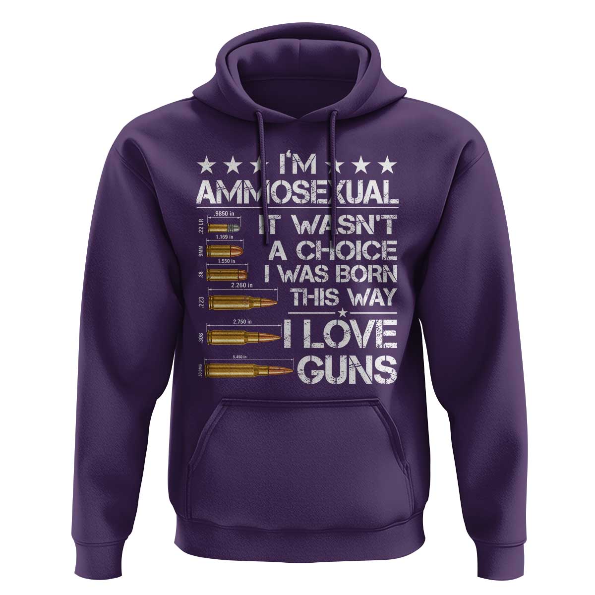I'm Ammosexual It Wasn't A Choice 2nd Amendment Gun Lovers Hoodie