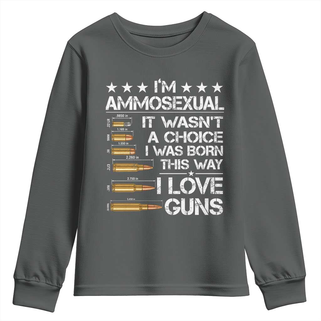 I'm Ammosexual It Wasn't A Choice 2nd Amendment Gun Lovers Youth Sweatshirt