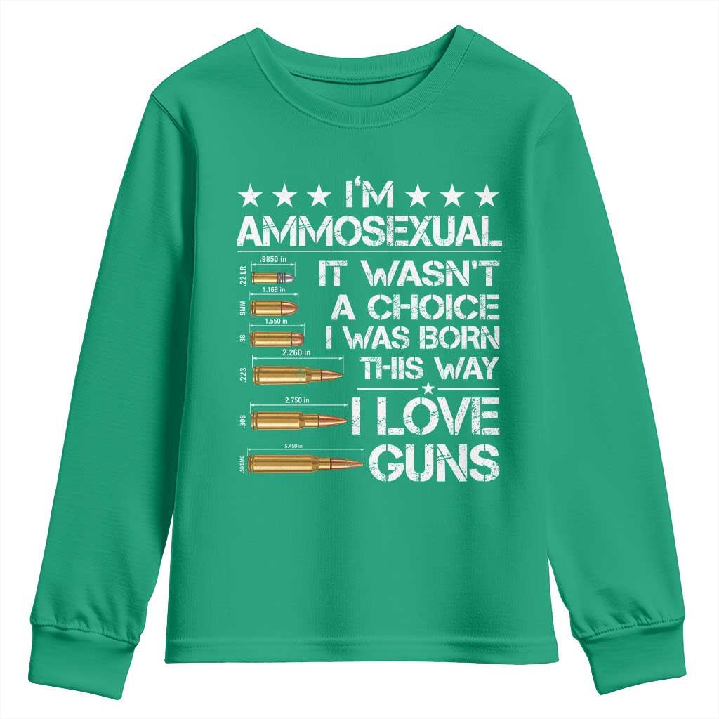 I'm Ammosexual It Wasn't A Choice 2nd Amendment Gun Lovers Youth Sweatshirt
