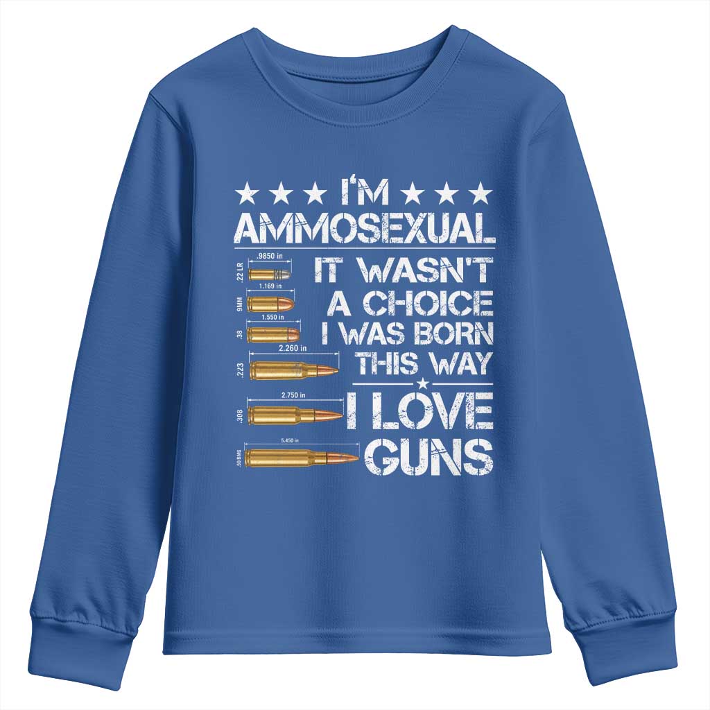 I'm Ammosexual It Wasn't A Choice 2nd Amendment Gun Lovers Youth Sweatshirt