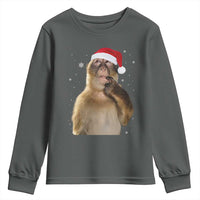 Christmas Thinking Monkey Meme Humor Brainrot Youth Sweatshirt - Wonder Print Shop