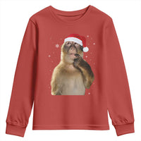 Christmas Thinking Monkey Meme Humor Brainrot Youth Sweatshirt - Wonder Print Shop