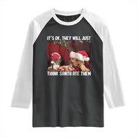 Funny Christmas Dog And Cat Raglan Shirt It's Ok They Will Just Think Santa Ate Them - Wonder Print Shop