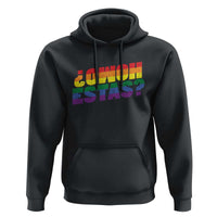Funny Spanish Mexican Homo Estas Hoodie Gay Pride Ally LGBTQ Month