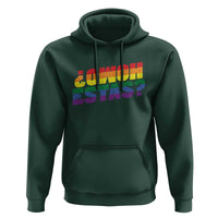 Funny Spanish Mexican Homo Estas Hoodie Gay Pride Ally LGBTQ Month