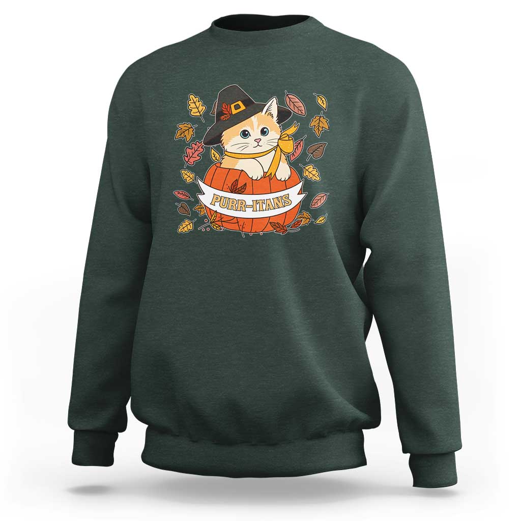 Funny Thanksgiving Cat Lover Sweatshirt Purritans Pilgrim Puritans Hat - Wonder Print Shop
