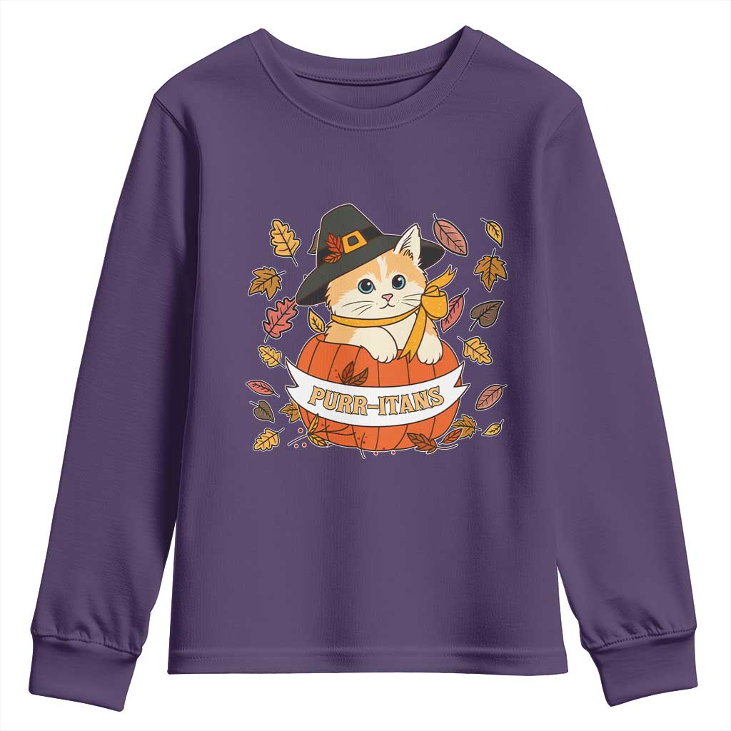 Funny Thanksgiving Cat Lover Youth Sweatshirt Purritans Pilgrim Puritans Hat - Wonder Print Shop