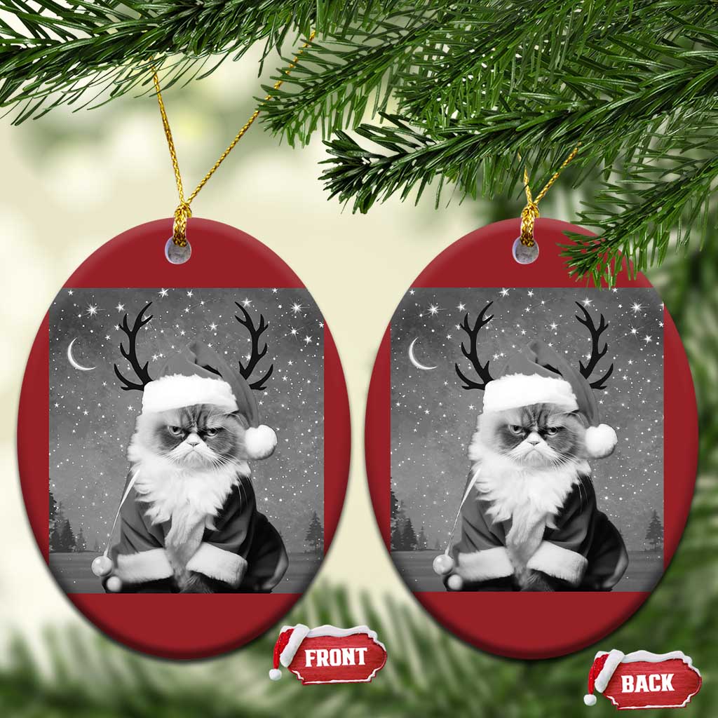 Funny Xmas Santa Grumpy Cat Christmas Ornament - Wonder Print Shop