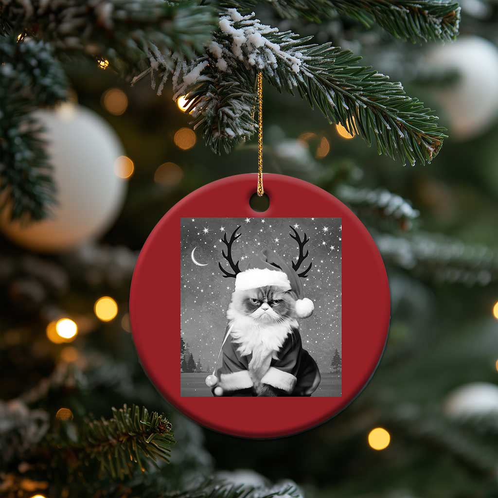 Funny Xmas Santa Grumpy Cat Christmas Ornament - Wonder Print Shop