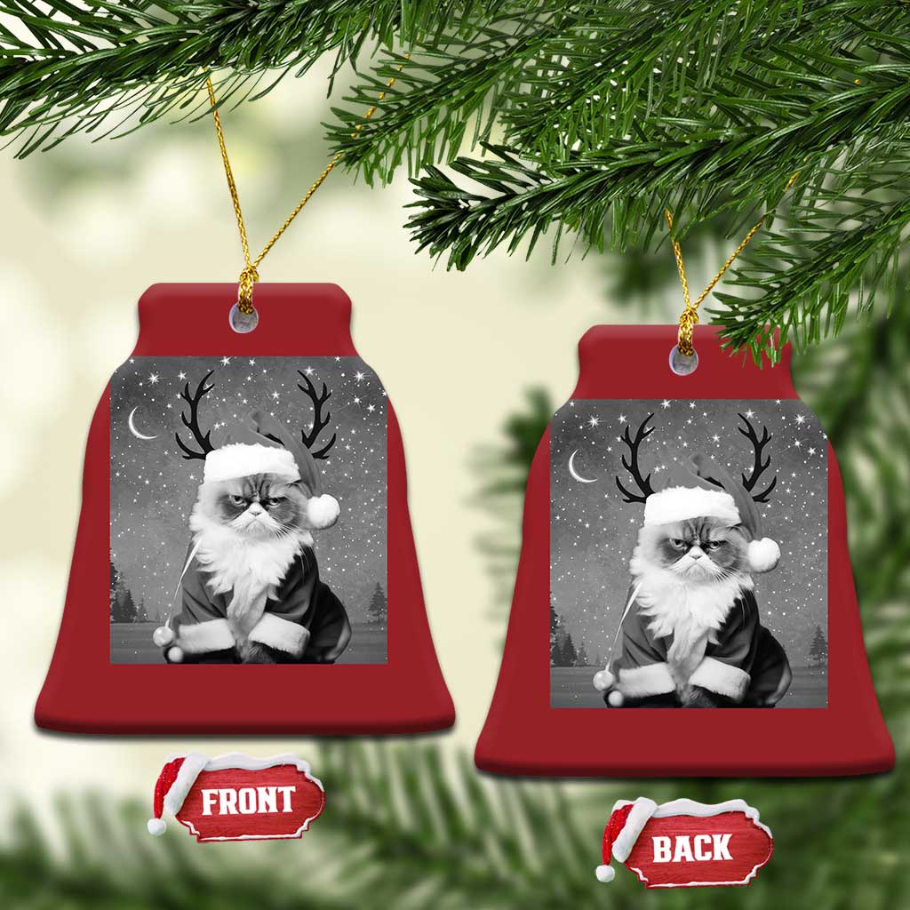 Funny Xmas Santa Grumpy Cat Christmas Ornament - Wonder Print Shop