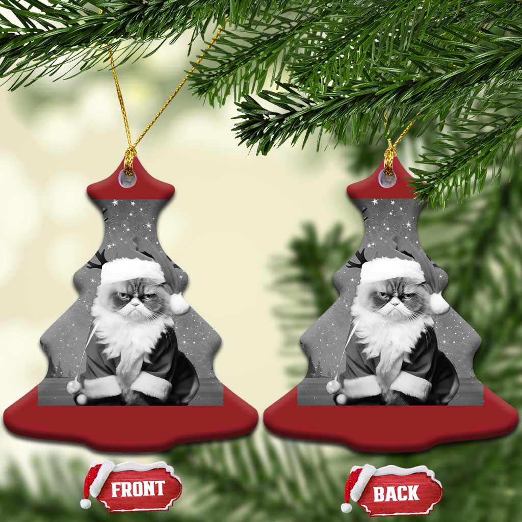 Funny Xmas Santa Grumpy Cat Christmas Ornament - Wonder Print Shop
