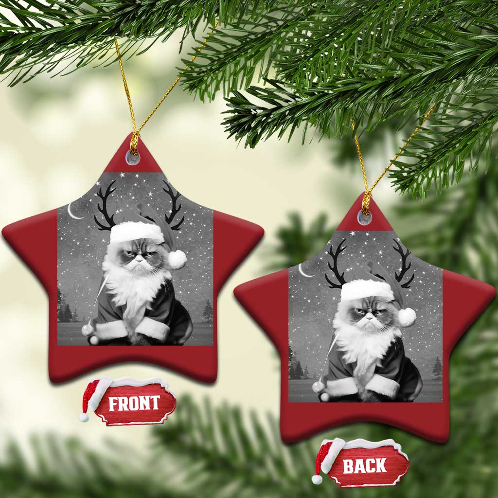 Funny Xmas Santa Grumpy Cat Christmas Ornament - Wonder Print Shop