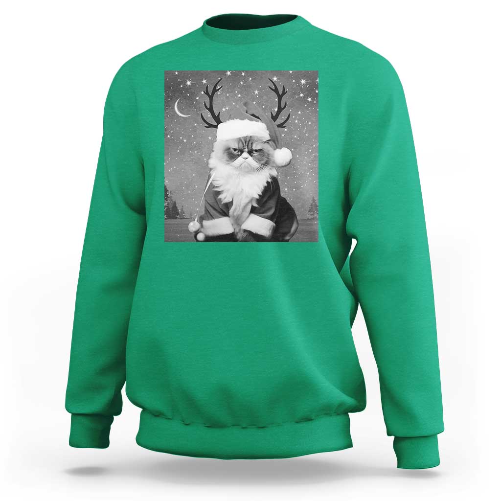 Funny Christmas Santa Grumpy Cat Sweatshirt - Wonder Print Shop