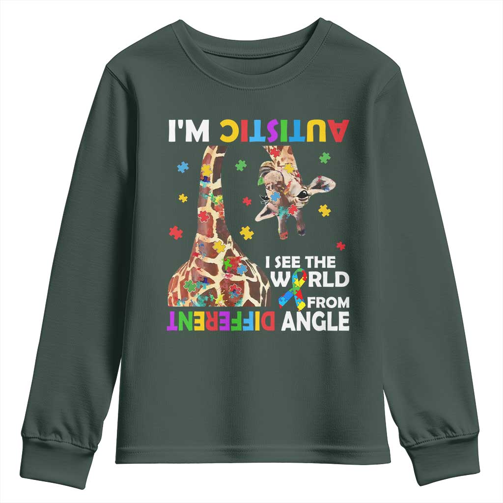 Funny I'm Autistic I See The World Form Different Angle Youth Sweatshirt Puzzle Giraffe